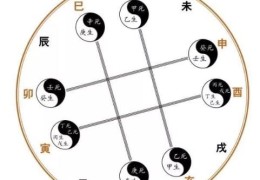 八字天干双合详解