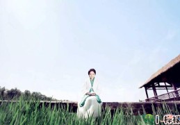 八字的具体算法