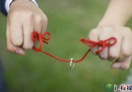 八字桃花入命的命理详解