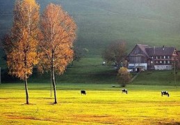 八字大运吉凶断法技巧