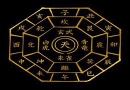 八字中的天干可以克地支吗