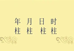 四柱中时柱看子女情况