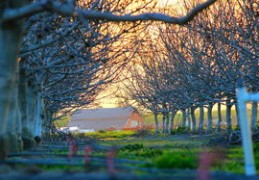 阴险小人的八字（阴险小人的八字特征）