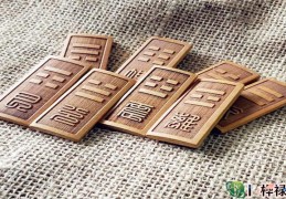 六爻中别卦什么意思