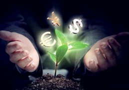 ​八字喜用神看投资方向