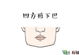 下颌面相解读