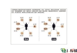 八字内六亲与外六亲，八字断六亲凶吉密诀