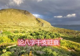 论八字干支旺衰