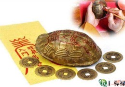 爻卦有无动爻的判定，​六爻动爻看法