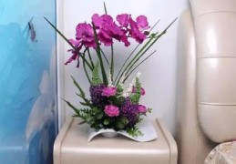 家中桃花位适合摆放什么