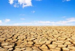 八字湿土与燥土的区别