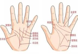 男人手相论命，男人手的形状看命运好坏