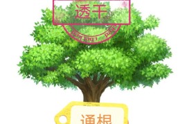 八字通根好不好