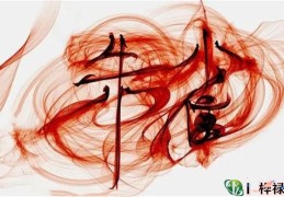 六爻朱雀代表的性格象义