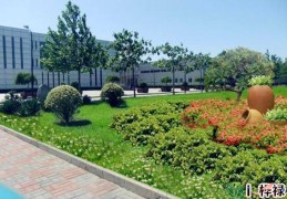 工厂里种植花草的风水宜忌