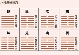 怎么看禄神逢合逢冲（怎么看禄神逢合逢冲日）