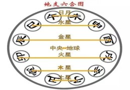 八字十二地支六合的看法