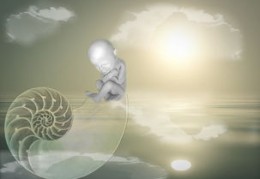 八字过弱怎么办（八字过弱怎么办字弱怎么补救）