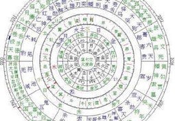 婚后财运较好的八字特征