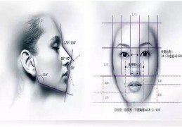 三庭五眼是什么（三庭五眼是什么意思）