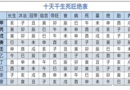 十天干十二长生的大限的关系