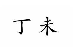 丁未日柱的女命好吗