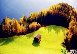 八字壬骑龙背格