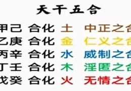 解读八字天干五合化气