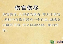 伤官伤尽八字怎么看