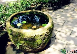 八字看阴阳宅风水