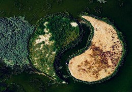 女人什么八字有福（女人什么八字有福气）