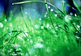  八字癸水日元如何取格局