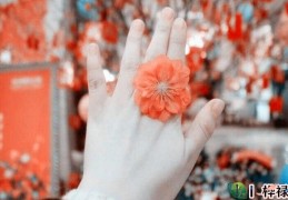 怎么助旺自己的正缘桃花