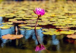 如何看八字格局大小