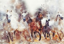 八字走七杀运啥意思