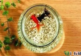 养鱼风水注意事项