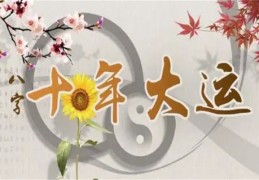 八字中十年大运要怎么看