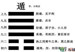 六十四卦：天山遁卦详解