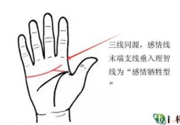 手相婚姻感情线的看法