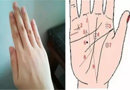 命好的女人手相特征