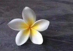 ​组合好的八字的特征