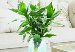 壬水怕的是什么（壬水怕啥）