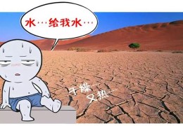 金水伤官居多的好八字