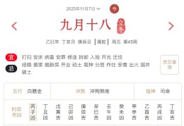 2025年11月7日每日五行穿衣指数解读搭配