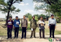 注定打光棍的八字特点