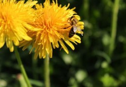 女人催旺桃花运的方法（女人催旺桃花运的方法有哪些）