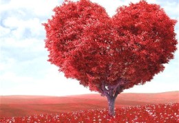 有大成就的八字（有大成就的八字必有七杀伤官）