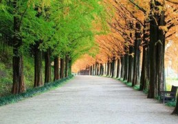 八字两神成象格局精解