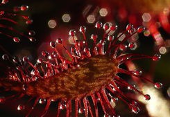 居家厕所应注意哪些风水问题（居家卫生间效果图）