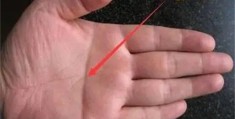 ​手掌中断掌的看法